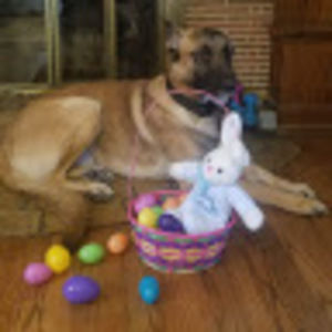 Meet your Posher, Christine